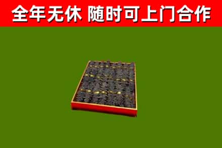 利津县回收海参